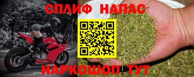 сатива Тула