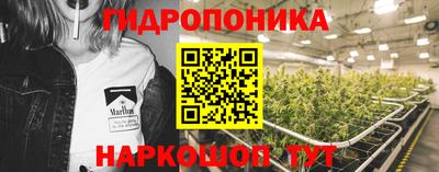 сатива Тула