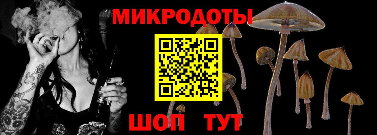 Галлюциногенные грибы Psilocybe  Вход с VPN  Нижневартовск 